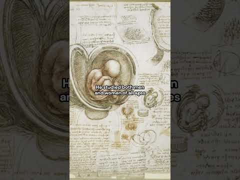 Video Leonardo de Vincis foray into Dissection and Anatomy