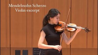 Mendelssohn Scherzo from Midsummer Night’s Dream Violin Excerpt