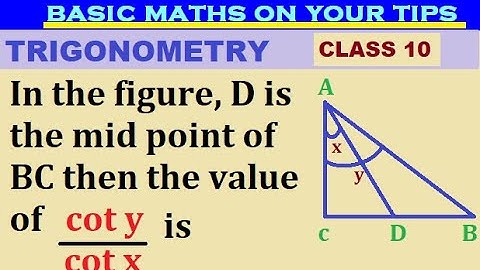In the figure, D is the mid point of BC then the value of cot y/cot x is   #trignometry #class10