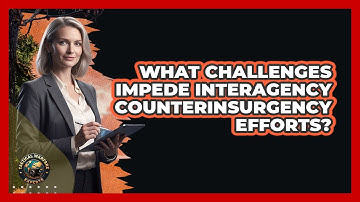 What Challenges Impede Interagency Counterinsurgency Efforts?