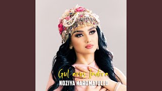 Gul arus Indira - Noziya Karomatullo