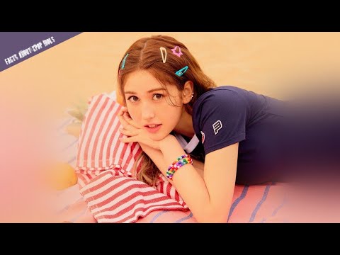 ვიდეო, რომელიც (ვერ)დაგეხმარებათ სომის გაცნობაში