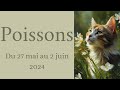 Poissons ♓27 mai au 2 juin 2024 - Personne vivant une situation tragique et est devenue méchante