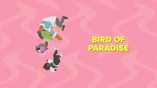 Video thumbnail of "Donut County OST - Bird of Paradise"