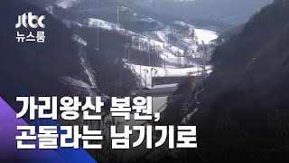 가리왕산 복원, 곤돌라는 남기기로…환경단체 반발 / JTBC 뉴스룸