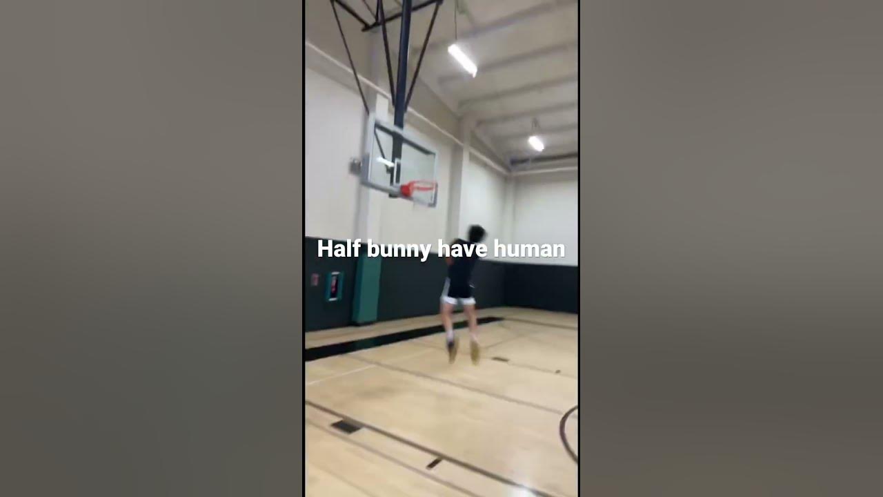 half-bunny-half-human-youtube