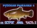 РР4 СТАРЫЙ ОСТРОГ ЛИНЬ / РУССКАЯ РЫБАЛКА 4 ОСТРОГ ЛИНЬ / RUSSIAN FISHING 4 OLD BURG LAKE TENCH