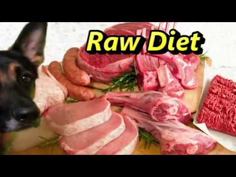 raw-homemade-dog-food