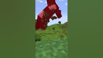 Minecraft, But Biomes Give Random Effects...