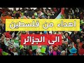 فرحة جنونية من فلسطين بفوز المنتخب الجزائري  