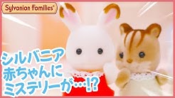 Sylvanian Families Japan Youtube