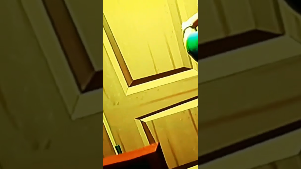 Hello neighborl-bugged cutscene