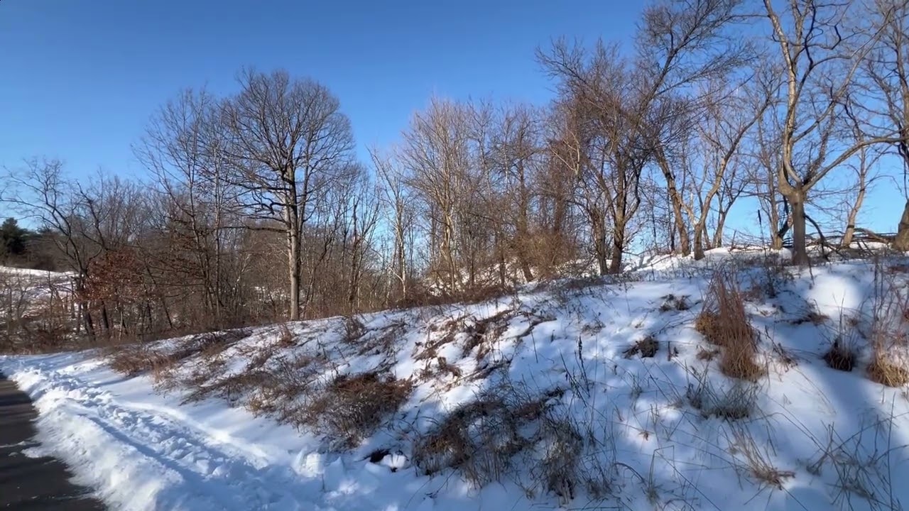 Relaxing Winter Stillness Ambiance : Calming Music