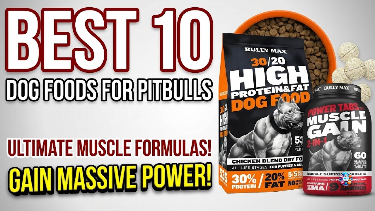 How much should a pitbull eat?