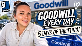 I Went to Goodwill EVERY DAY for 5 Days… Here’s What I Found!