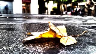 Pasa el otoño - Antonio Vega