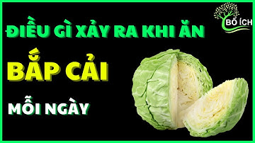 Điều gì xảy ra khi ăn bắp cải mỗi ngày ? - kênh sức khoẻ bổ ích