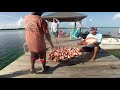 Boat trip from West Palm to Grand Cay Bahamas with deep dropping in 600 plus feet