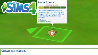 How To Get The Death Flower (Cheat) - The Sims 4