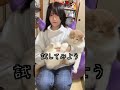 猫をフードに入れると落ち着くらしいので試したけど...#shorts