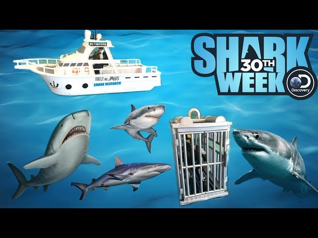 SHARK WEEK! Toy Review NEW 2018 JAWS Research Boat & Cage Playset