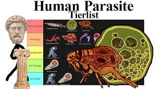 Human Parasite Tierlist