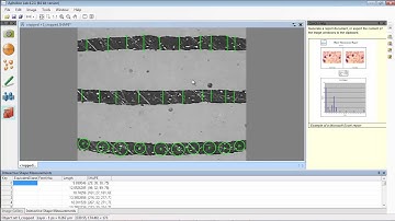 ADCIS Applications : Materials Science : Layer Thickness