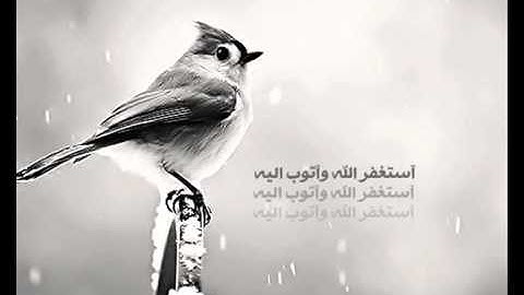 سورة القيامه لــ فارس عباد