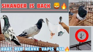 SIKANDER VAPIS AGEA MITRO 😍 SIKANDER PABLO DA PRA A ?