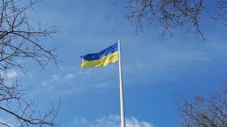 Ukrainian Flag Flying
