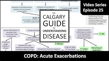 COPD: Acute Exacerbations
