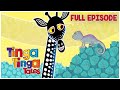 Why Giraffe Has a Long Neck | Tinga Tinga Tales Official | Full Episode | Cartoons For Kids