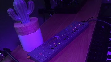 OP-Z generative ambient chill