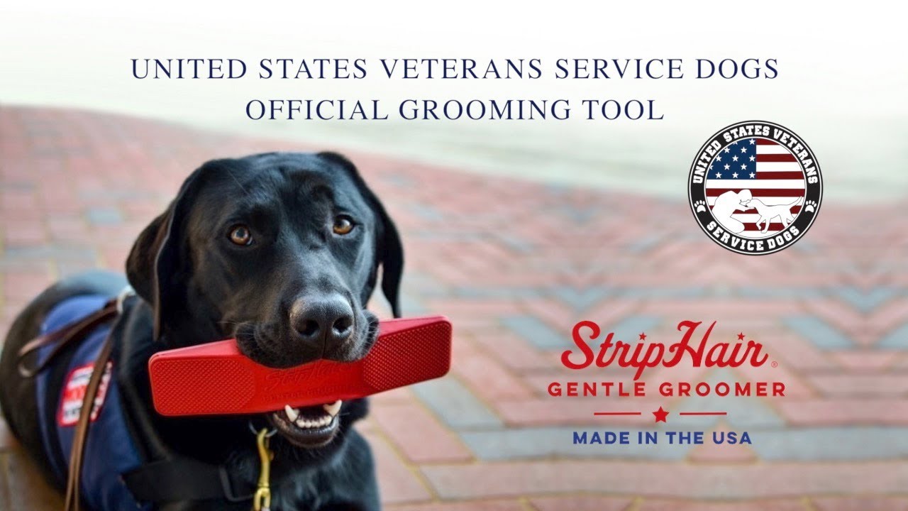 StripHair Gentle Groomer x United States Veterans Service Dogs