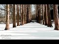 Winter Sonata Richard-Clayderman