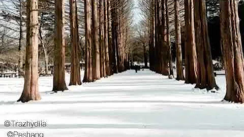 Winter Sonata Richard-Clayderman