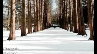 Winter Sonata Richard-Clayderman