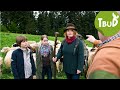 Schafskälte (Folge 4) | Tiere bis unters Dach | SWR Kindernetz