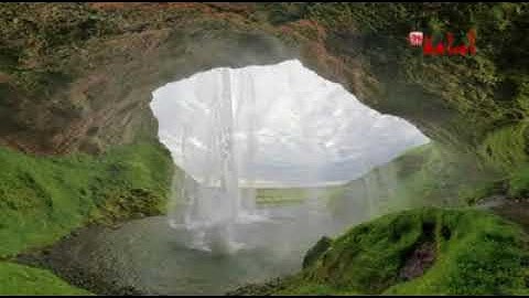 القارئ اسامة الجزائري