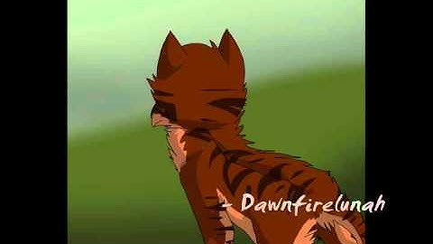 Hawkfrost MEP part 19 for SuffocationXWarriors