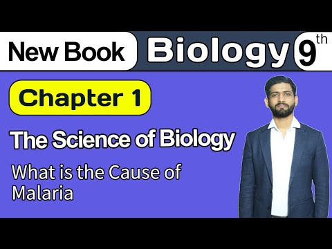 What is the Cause of Malaria