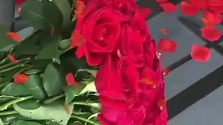 Tugce Kandemir - Gulu Soldurmam.cok Guzel .Bendeki Mevsimler Sana Hep Bahar