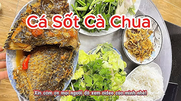 Cá Sốt Cà Chua – Đậm Đà Đưa Cơm, Món Ngon Mỗi Ngày | Món ngon Việt Nam