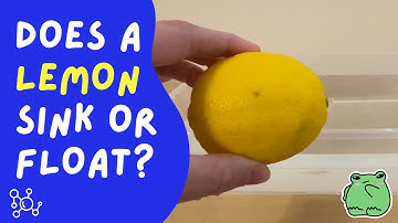 Does a LEMON float or sink in water?