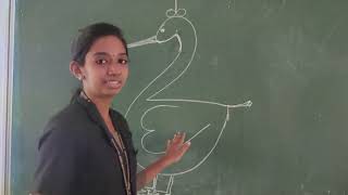 Class-1 Computer Chapter-5 Know the Mouse(part-1)