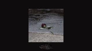 a playlist because it wasn’t meant to be Net Worth