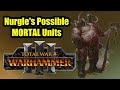 Nurgle's Possible MORTAL Units - Total War Warhammer 3