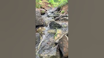 Thác nước đẹp nhất Tây Nguyên