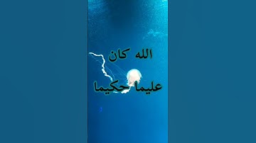 ما هي السورة التي تبدأ بقوله تعالى: "يا أيها النبي اتق الله...#chorts
