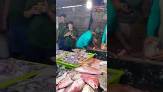 berburu seafood #bali #seafood #fish #fishing #indonesia #kedonganan #jimbaran  #youtubeshorts